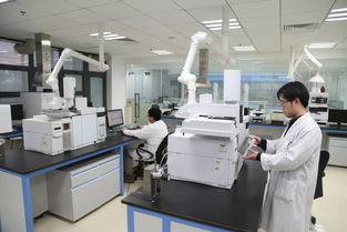 科技引領，服務賦能 以創新技術打響“上海制造”品牌，驅動集團高質量發展